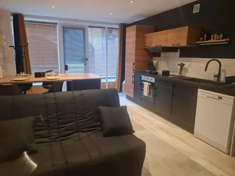 Appartement L'Escale Charliendine à Charlieu France